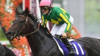 日本出身横綱誕生年の宝塚記念 過去4勝を挙げるのは何番人気？