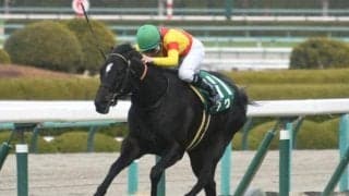 アグリが登録抹消・乗馬転向へ 23年の阪急杯覇者