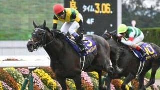 ワールドプレミア産駒が初勝利 現役時代に長距離GI・2勝の活躍