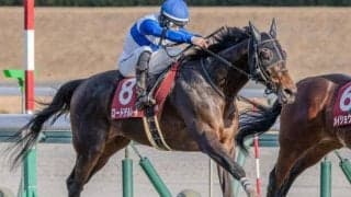 【宝塚記念】ロードHCが12年ぶりのJRA・GI制覇へ 大阪杯2着のロードデルレイ参戦