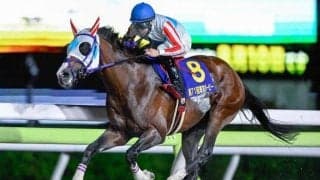 【大井・東京ダービー結果】ナチュラルライズが逃げ切って二冠達成！