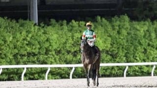 【東京ダービー】吉村誠「3角手前から追い出すような感じで…」カナルビーグルは5着まで