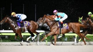 【東京ダービー】ルメール「グリップが効かなかった」クレーキングは直線猛追も及ばず2着