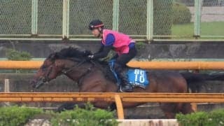 ラムジェット、帝王賞追い切り速報/栗東トレセンニュース