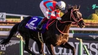 コントレイル産駒＆兄は菊花賞馬 セレクト2.5億円のユマハムが出陣！