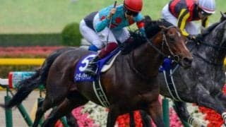 インディチャンプ産駒が中央初出走 ルーセントムーンに注目だ