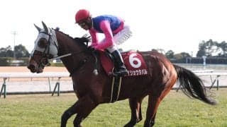 【競馬予想】宝塚記念は「トリッキーな舞台」で力を発揮しそうな伏兵２頭が高配当を演出か