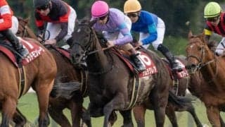 【函館SS枠順確定】ナムラクレアは4枠7番、ジューンブレアは1枠1番