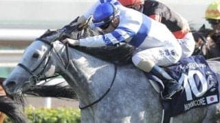 名牝ノームコアの2番仔 ドリームコアがレーン騎手で新馬勝ち狙う