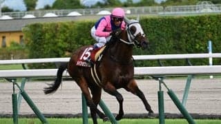 芝・ダートの締めくくり 2つの“春の総決算”を血統的側面から注目馬を探る