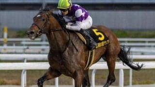 半兄はダート重賞3勝サンライズジパング オラヴィンリンナが初陣Vなるか