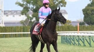 【函館SS予想】3歳馬の単勝回収率は200％超 馬齢が気になった人気の一角とは
