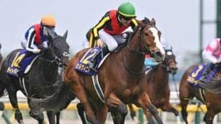 【しらさぎS想定馬・騎手】チェルヴィニア、レーベンスティールなど15頭