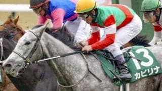 函館芝1200mは内＆前ベター 函館SSはカピリナが重賞初制覇のチャンス