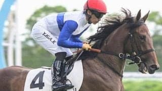 全兄はG1・2勝のダノンスマッシュ ハリウッドメモリーが連勝なるか