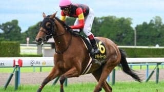 【府中牝馬S想定馬・騎手】セキトバイースト、フィールシンパシーなど14頭