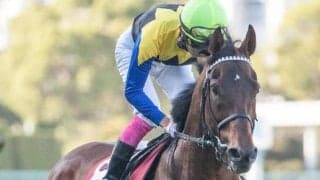 叔父は日本ダービー馬のマカヒキ 福永祐一厩舎のダイヤモンドノットが初陣V狙う