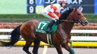 【ジューンS】セレクト4.5億円のダノンエアズロックが復活Vなるか