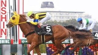 【競馬予想】宝塚記念で見るべき血統　特殊な距離のレースに「穴」をあけそうな２頭をピックアップ