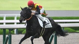 【阪神5R新馬戦結果】キズナ産駒マイオウンウェイが逃げ切り勝ち