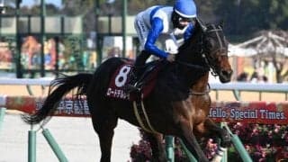 【宝塚記念予想】春のグランプリは馬場やペースの重要度が増す!? 距離延長で前走からパフォーマンスを落としそうな人気馬とは