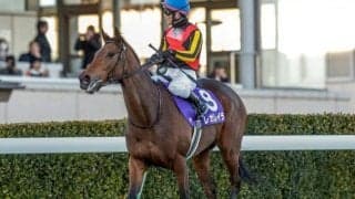 【AI予想・宝塚記念】大外枠は大歓迎！ 春秋グランプリ制覇に人工知能も太鼓判