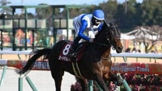 【今日の注目ポイント】上半期の総決算グランプリ・宝塚記念