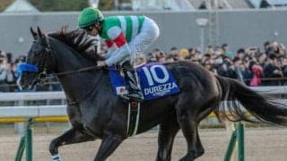 【宝塚記念予想】2週繰り上げで傾向に変化は生まれるか 上半期のグランプリ