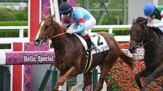 【阪神5R新馬戦結果】エピファネイア産駒サレジオが押し切り新馬勝ち