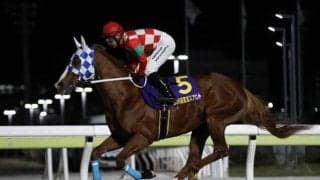 【川崎スパーキングスプリント枠順】東京スプリント3着のエンテレケイアは7枠10番