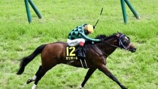 【パラダイスS】9歳馬カリボールが波乱を演出…サトノカルナバルはまさかの最下位