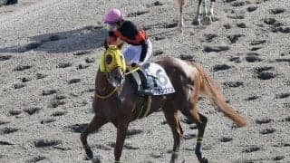 【東京12R】ルヴァンスレーヴ産駒 ルグランヴァンが3勝目