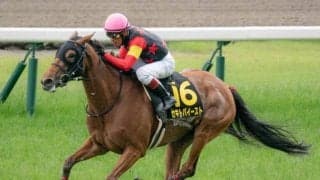 【府中牝馬S】セキトバイースト、フィールシンパシーらが登録