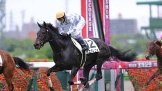 【阪神4R】武豊ピエタンツァが差し切りV…トロワゼトワル半妹