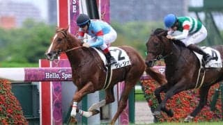 【新馬/阪神5R】良血サレジオがデビュー戦を快勝