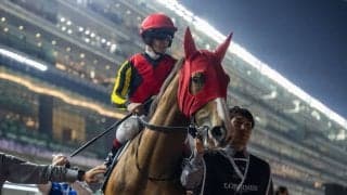 【しらさぎS登録馬】米子Sから昇格の新設重賞…チェルヴィニアなどが登録