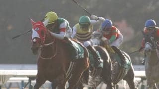 【府中牝馬S登録馬】ラヴェルなど14頭