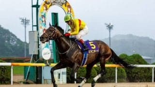 【佐賀王冠賞】ビキニボーイが早め先頭で完勝…5馬身差V