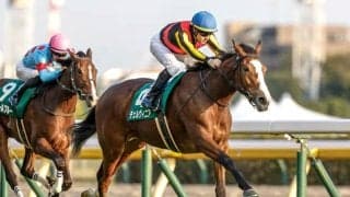 【しらさぎS見どころ】チェルヴィニアが格の違いを見せつける