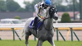 GI/JpnIに4度騎乗してすべて5着以内 下半期も注目の吉村誠之助騎手