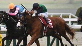 【川崎・関東オークス枠順】チューリップ賞覇者クリノメイは3枠4番
