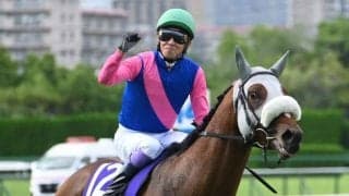 【宝塚記念】売上は262億5772万7800円で昨年より約16.5億円増加