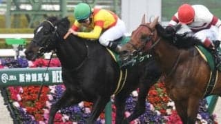 【先週のJRA抹消馬】23年阪急杯覇者アグリ、重賞2着4回のマイネルウィルトスなど