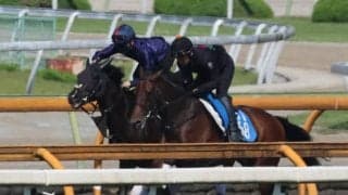 半兄はジャンタルマンタル ウンナターシャが土曜東京のダートで初陣/関西馬メイクデビュー情報