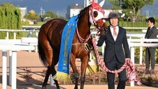 【府中牝馬S想定騎手】ラヴェルは津村明秀騎手、カニキュルは戸崎圭太騎手