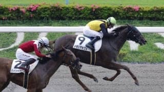 【関東オークス】メモリアカフェは1枠1番へ…JRA馬は4頭