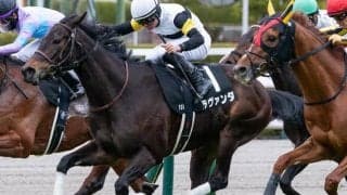 【府中牝馬S展望】大幅な条件替わりも4歳馬ラヴァンダを狙う