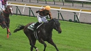 14戦全勝、G1・10勝、レーティング140……血統表でよく見る伝説の名馬「フランケル」を深堀り