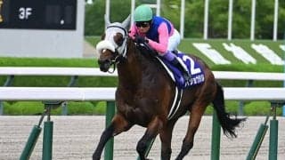 7週連続のGI開催を振り返り 好成績を残した騎手・調教師・馬主は？