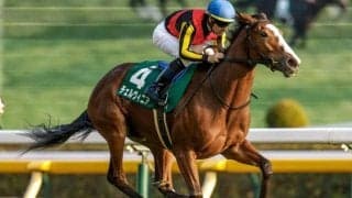 【しらさぎS予想オッズ】チェルヴィニアが予想1番人気